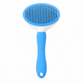 Magic Brush